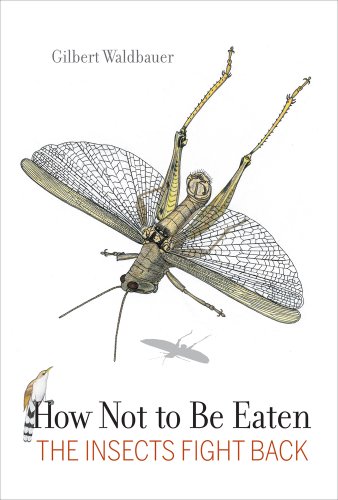 How Not to Be Eaten The Insects Fight Back [Hardcover]