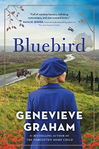 Bluebird A Novel [Paperback]