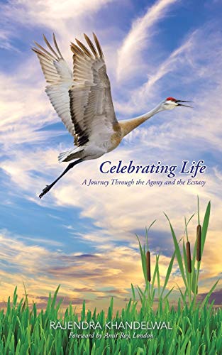 Celebrating Life A Journey Through The Agony And The Ecstasy Foreword By Amit R [Paperback]