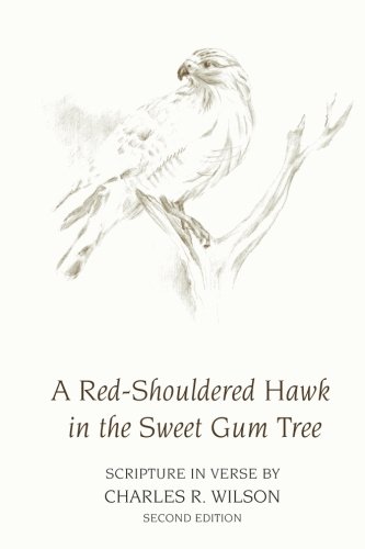A Red-Shouldered Hawk  In The Sweet Gum Tree Scripture In Verse [Paperback]