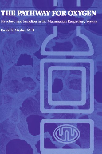 Pathway for Oxygen Structure and Function in the Mammalian Respiratory System [Paperback]