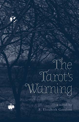 The Tarot's Warning [Paperback]