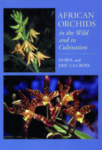 African Orchids In The Wild And In Cultivation [Paperback]