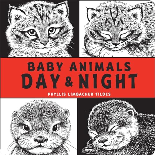 Baby Animals Day &amp Night [Board book]