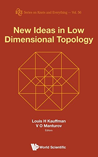 New Ideas In Low Dimensional Topology (series On Knots And Everything) [Hardcover]