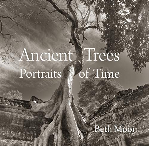 Ancient Trees Portraits of Time [Hardcover]