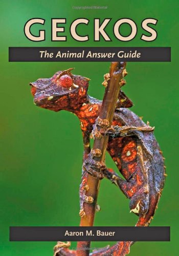 Geckos The Animal Answer Guide (the Animal Answer Guides Q&a For The Curious N [Hardcover]