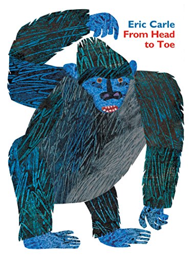 From Head to Toe Padded Board Book [Board book]
