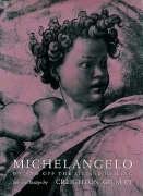 Michelangelo On and Off the Sistine Ceiling [Hardcover]