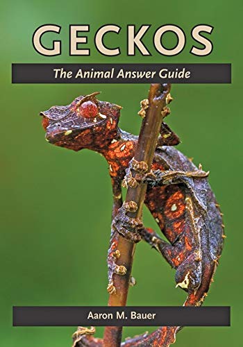 Geckos The Animal Answer Guide (the Animal Answer Guides Q&a For The Curious N [Paperback]