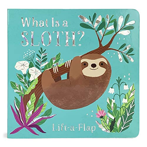 What Is a Sloth [Unknown]