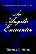 Stranger Story Never Told - an Angelic Encounter [Hardcover]