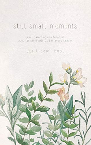 Still Small Moments What Parenting Can Teach Us About Growing With God In Every [Paperback]