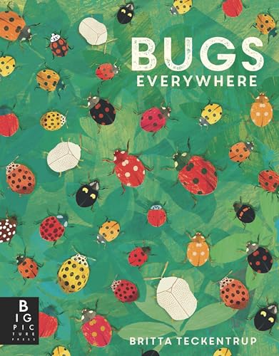 Bugs Everywhere [Paperback]