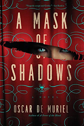 A Mask of Shadows A Novel [Paperback]