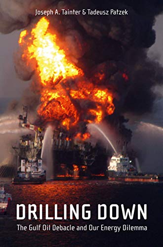 Drilling Down The Gulf Oil Debacle and Our Energy Dilemma [Paperback]