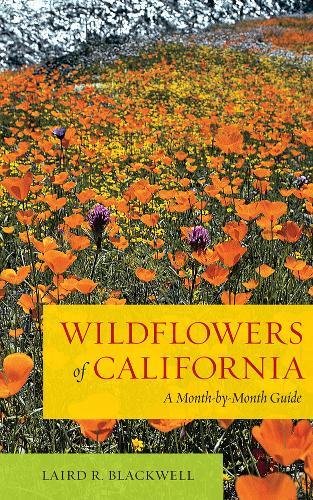 Wildflowers of California A Month-by-Month Guide [Paperback]