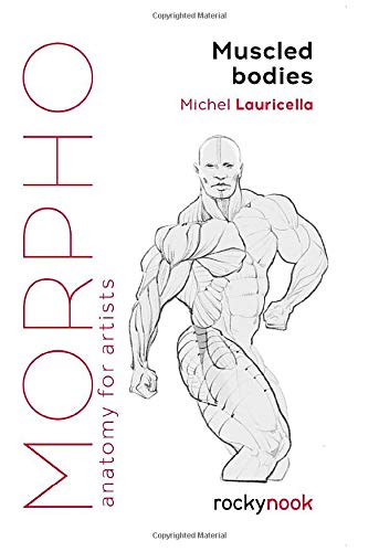 Morpho Muscled Bodies Anatomy for Artists [Paperback]