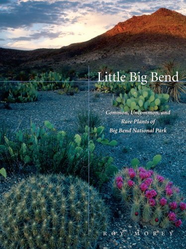 Little Big Bend Common, Uncommon, and Rare Plants of Big Bend National Park [Paperback]