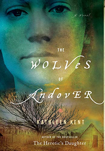The Wolves of Andover A Novel [Hardcover]
