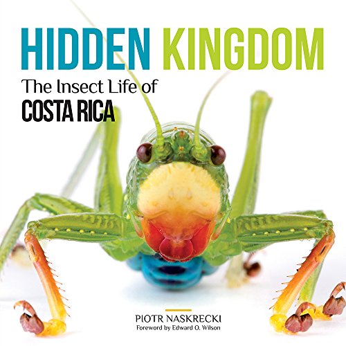 Hidden Kingdom The Insect Life Of Costa Rica (zona Tropical Publications) [Paperback]