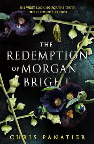 The Redemption of Morgan Bright [Paperback]