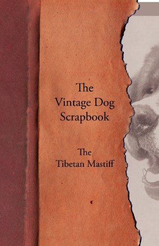 Vintage Dog Scrapbook - the Tibetan Mastiff [Paperback]