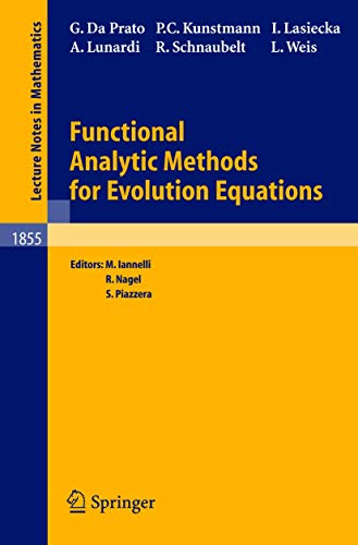 Functional Analytic Methods for Evolution Equations [Paperback]