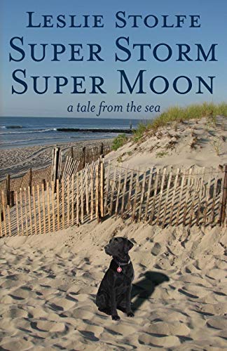 Super Storm Super Moon A Tale From The Sea [Paperback]