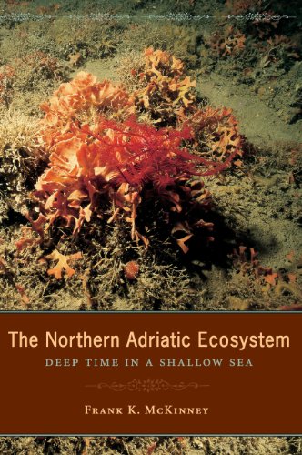 The Northern Adriatic Ecosystem Deep Time in a Shallow Sea [Hardcover]