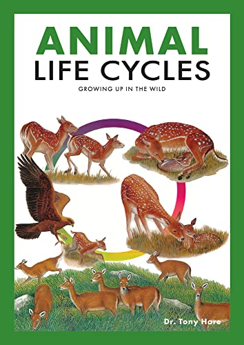 Animal Life Cycles                       [TRADE PAPER         ]