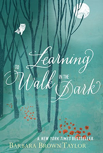 Learning to Walk in the Dark [Paperback]