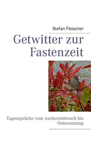 Getwitter Zur Fastenzeit [Paperback]