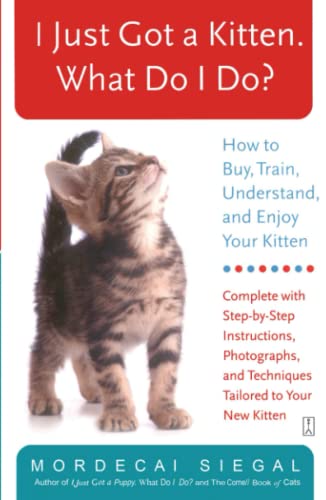 I Just Got a Kitten. What Do I Do How to Buy, Train, Understand, and Enjoy You [Paperback]