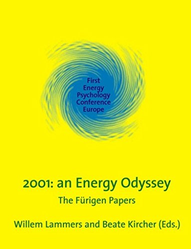 Energy Odyssey [Paperback]