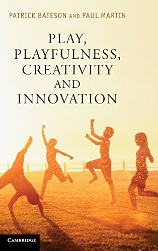 Play, Playfulness, Creativity and Innovation [Hardcover]