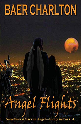 Angel Flights [Paperback]