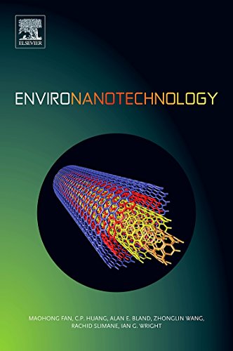 Environanotechnology [Hardcover]