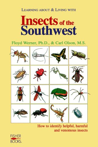 Insects Of The Southwest [Paperback]