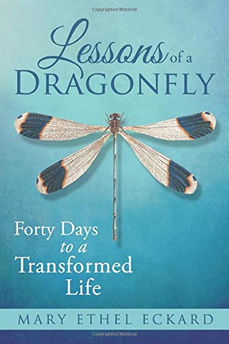 Lessons of a Dragonfly  Forty Days to a Transformed Life [Paperback]