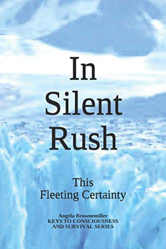 In Silent Rush  This Fleeting Certainty [Paperback]