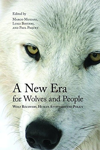 A New Era for Wolves and People Wolf Recovery, Human Attitudes, and Policy [Paperback]