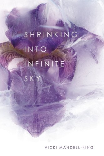 Shrinking Into Infinite Sky [Paperback]