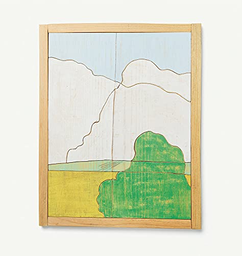 Robert Adams The Plains, from Memory [Hardcover]