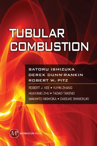 Tubular Combustion (sustainable Energy) [Hardcover]
