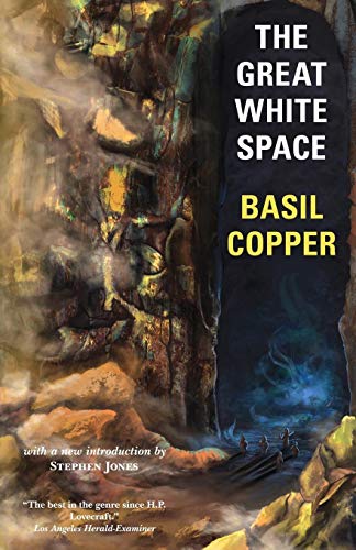 The Great White Space [Paperback]