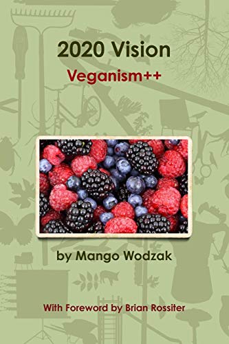 2020 Vision [Paperback]