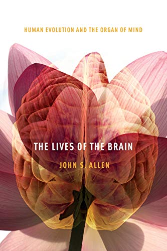 The Lives of the Brain Human Evolution and the Organ of Mind [Paperback]