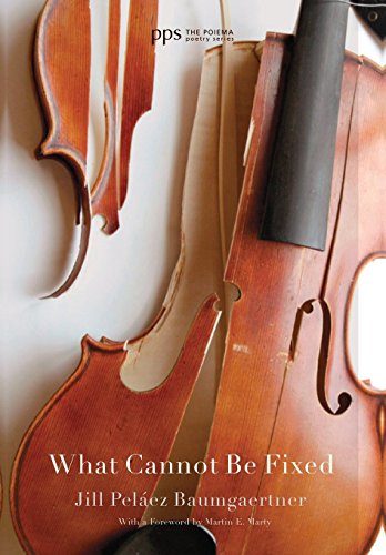 What Cannot Be Fixed [Hardcover]