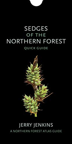 Sedges of the Northern Forest  Quick Guide [Unknown]